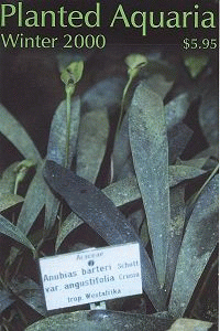 Planted Aquaria на английском языке
